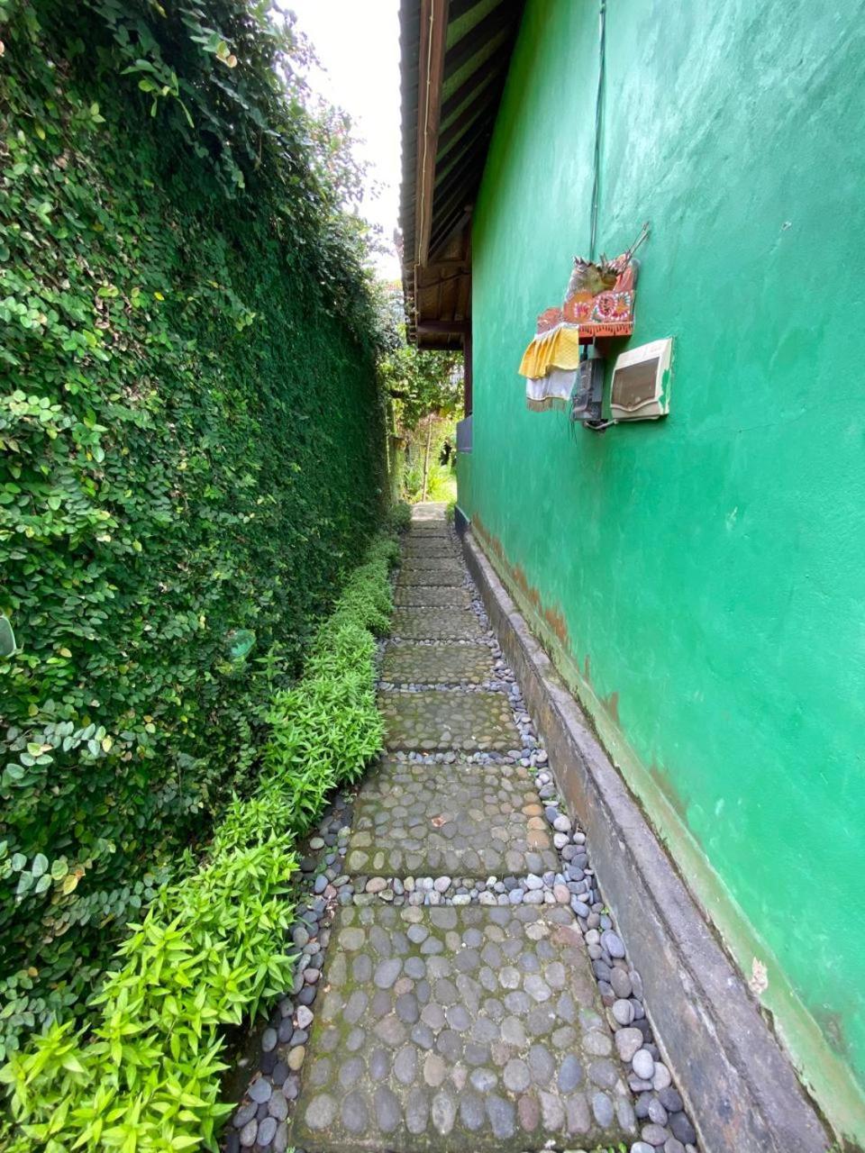 Pomelo Guest House Ubud  Exterior photo
